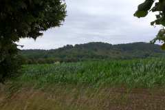 P2070247